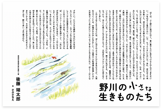 作品名：野川の小さな生きものたち