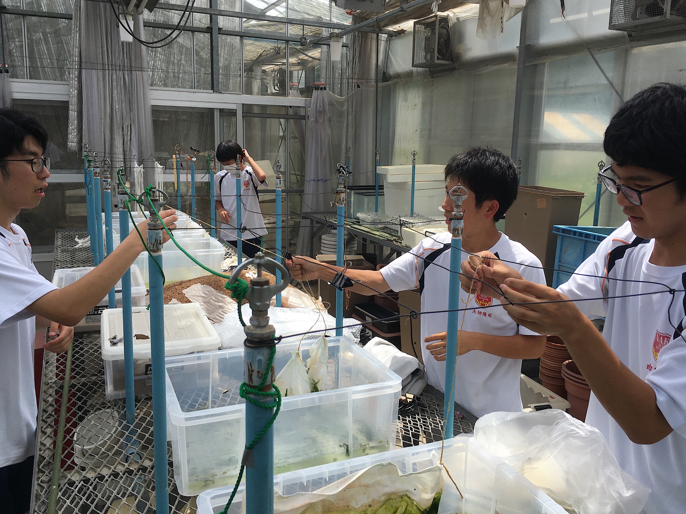 青森県立名久井農業高等学校「環境研究班」