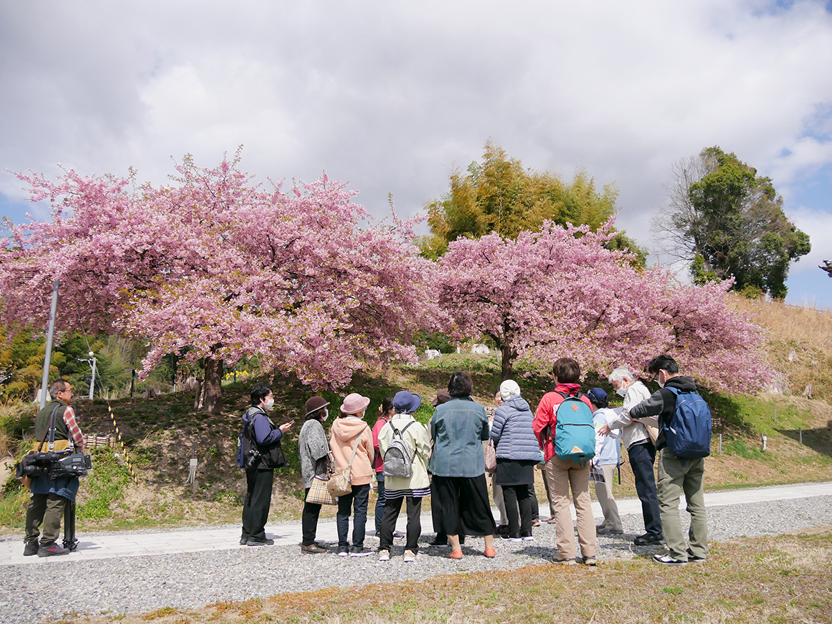 特定非営利活動法人 桜ライン311